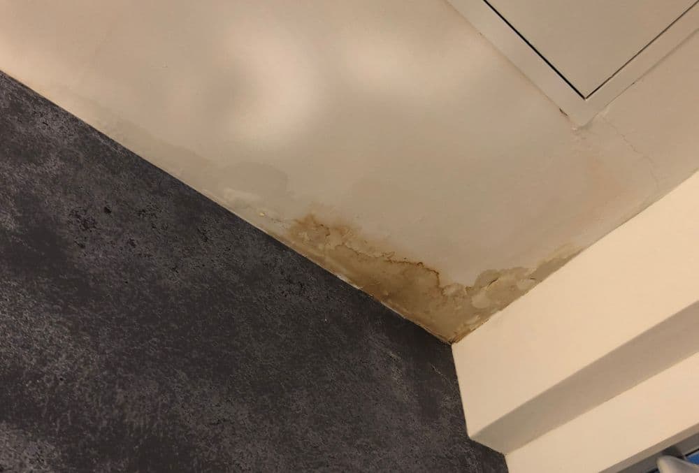 Shower Leak Repair Newcastle Plumbing
